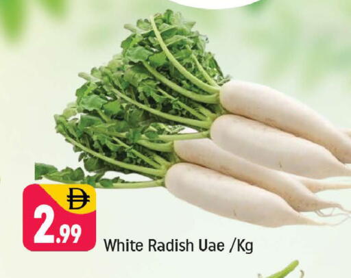 Radish available at شكلان ماركت in الإمارات العربية المتحدة , الامارات - دبي