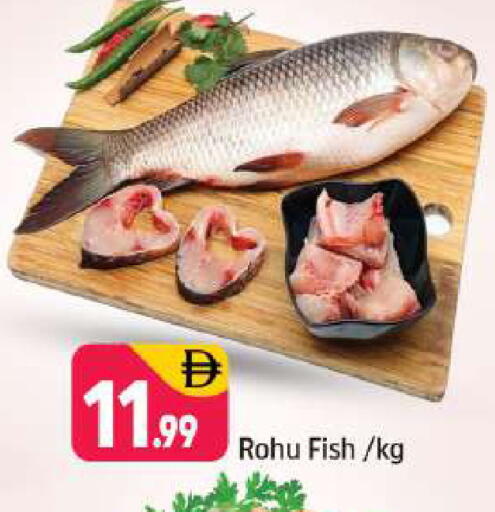 available at شكلان ماركت in الإمارات العربية المتحدة , الامارات - دبي