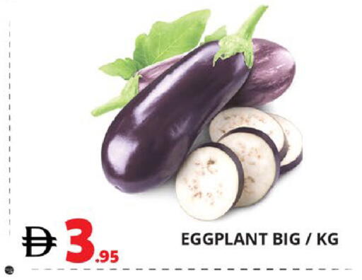 Eggplant available at اكسبرس المدينة هايبرماركت in الإمارات العربية المتحدة , الامارات - أبو ظبي