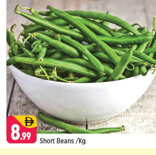 available at شكلان ماركت in الإمارات العربية المتحدة , الامارات - دبي