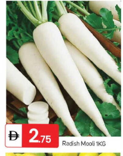 Radish available at سوق طلال in الإمارات العربية المتحدة , الامارات - الشارقة / عجمان