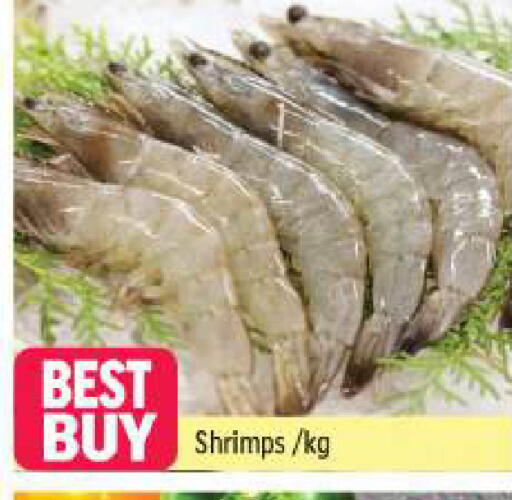 available at شكلان ماركت in الإمارات العربية المتحدة , الامارات - دبي