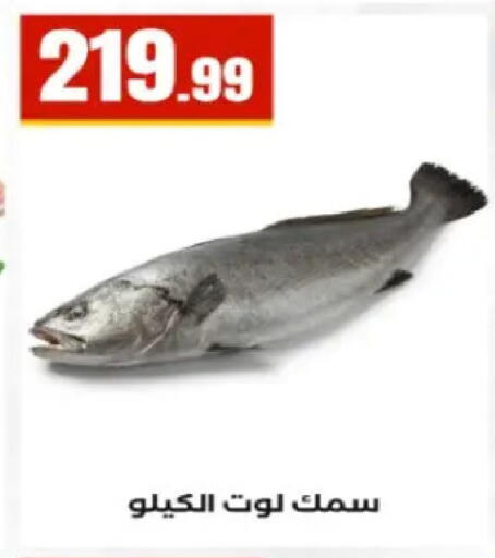 available at El Mahlawy Stores in Egypt - Cairo