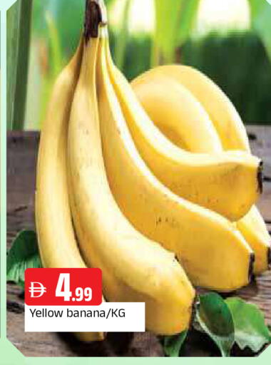 Banana available at المدينة in الإمارات العربية المتحدة , الامارات - الشارقة / عجمان