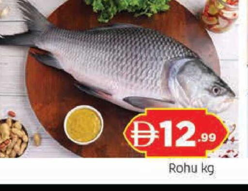 available at المدينة in الإمارات العربية المتحدة , الامارات - الشارقة / عجمان