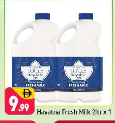 available at شكلان ماركت in الإمارات العربية المتحدة , الامارات - دبي