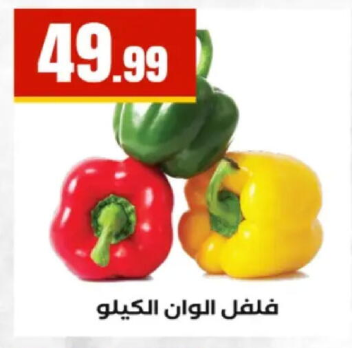 available at El Mahlawy Stores in Egypt - Cairo