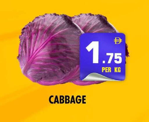 Cabbage available at نايت تو نايت in الإمارات العربية المتحدة , الامارات - دبي