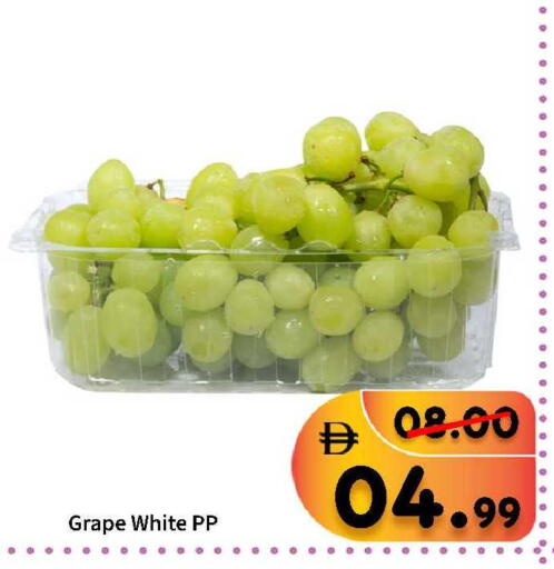 available at رويال جلف هايبرماركت in الإمارات العربية المتحدة , الامارات - أبو ظبي