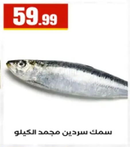 available at El Mahlawy Stores in Egypt - Cairo