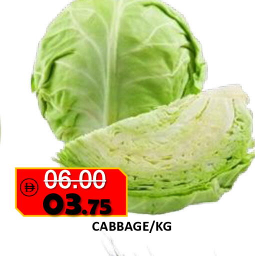 Cabbage available at رويال جلف هايبرماركت in الإمارات العربية المتحدة , الامارات - أبو ظبي