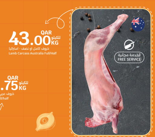 available at City Hypermarket in Qatar - Al Wakra