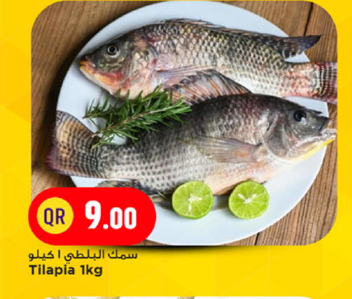 available at مرزا هايبرماركت in قطر - الخور