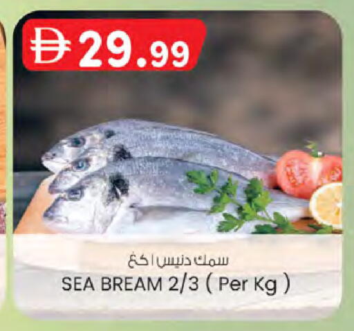 available at ك. الم. للتجارة in الإمارات العربية المتحدة , الامارات - الشارقة / عجمان