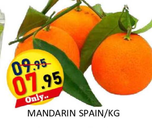 Mandarin from Spain available at رويال جلف هايبرماركت in الإمارات العربية المتحدة , الامارات - أبو ظبي