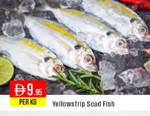 available at West Zone Supermarket in UAE - Dubai
