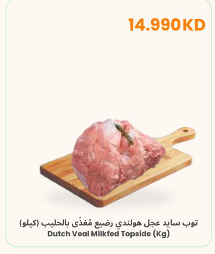 available at مركز سلطان in الكويت - محافظة الأحمدي