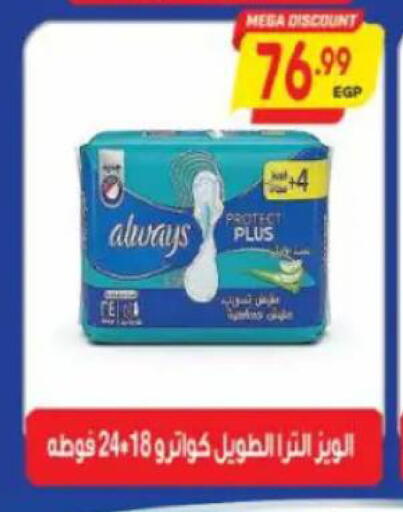 available at ماركت بني الجديد in Egypt - القاهرة