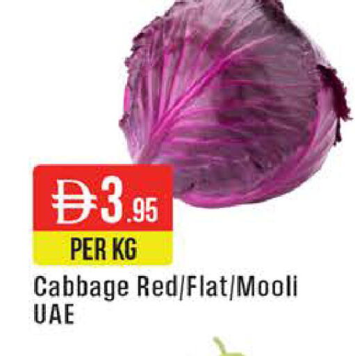 Cabbage available at West Zone Supermarket in UAE - Dubai