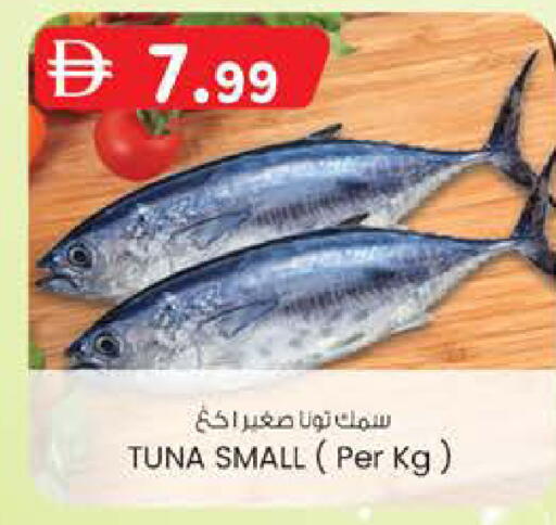 available at K.M Hypermarket in UAE - Al Ain