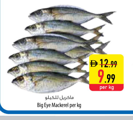 available at السفير ماركت in الإمارات العربية المتحدة , الامارات - أبو ظبي