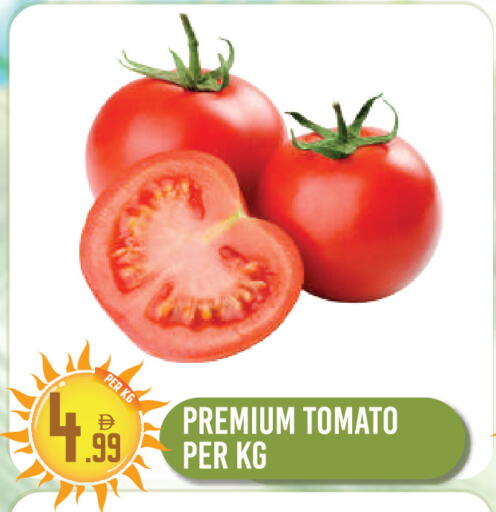 Tomato available at دريم لاند in الإمارات العربية المتحدة , الامارات - دبي