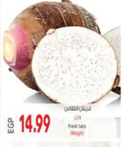 Taro available at ماركت بني الجديد in Egypt - القاهرة