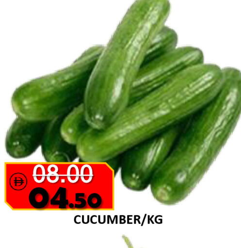 Cucumber available at رويال جلف هايبرماركت in الإمارات العربية المتحدة , الامارات - أبو ظبي