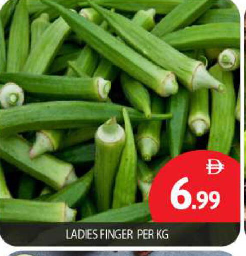 available at بيج مارت in الإمارات العربية المتحدة , الامارات - أبو ظبي