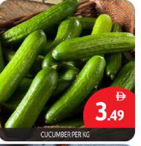 Cucumber available at بيج مارت in الإمارات العربية المتحدة , الامارات - أبو ظبي