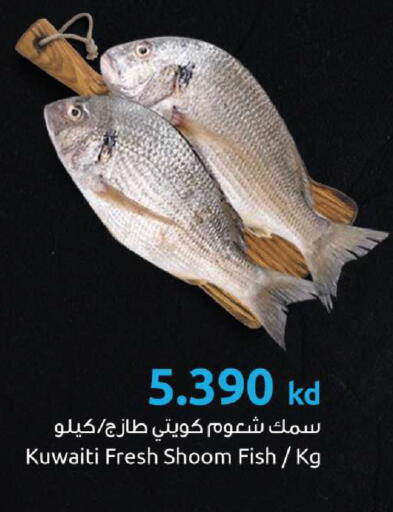 available at The Sultan Center in Kuwait - Kuwait City