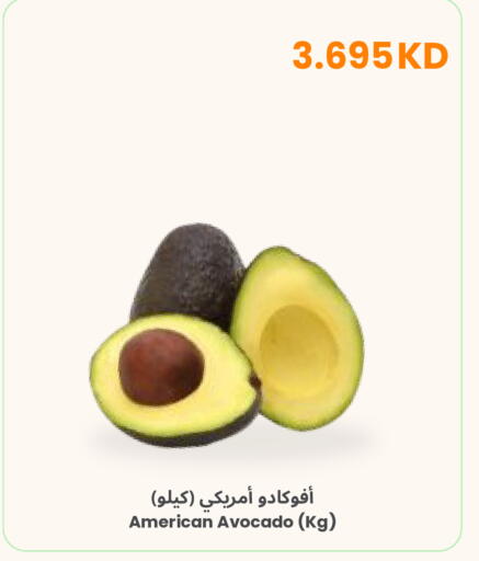 Avocado from United States available at The Sultan Center in Kuwait - Ahmadi Governorate