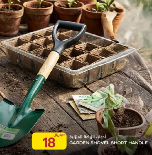 available at Al Meera in Qatar - Al Rayyan