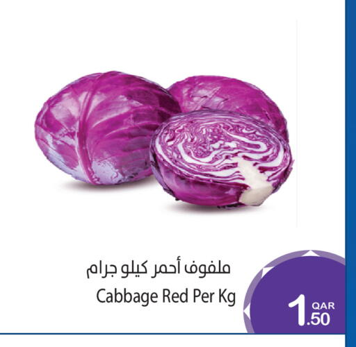 Cabbage available at Megamart in Qatar - Al Wakra