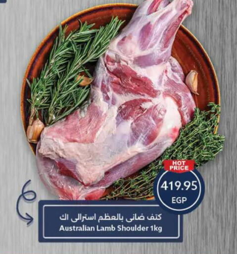 available at  أوسكار جراند ستورز  in Egypt - القاهرة