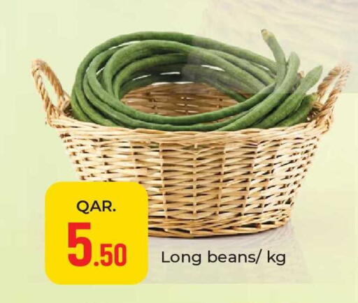 available at باريس هايبرماركت in قطر - أم صلال