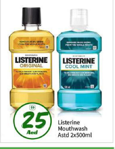 Mint available at بيج مارت in الإمارات العربية المتحدة , الامارات - أبو ظبي