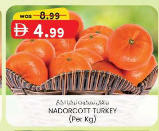 from Turkey available at صفا هايبر in الإمارات العربية المتحدة , الامارات - ٱلْعَيْن‎