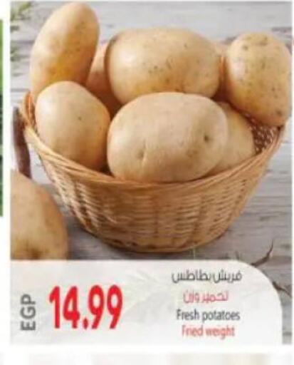 available at ماركت بني الجديد in Egypt - القاهرة