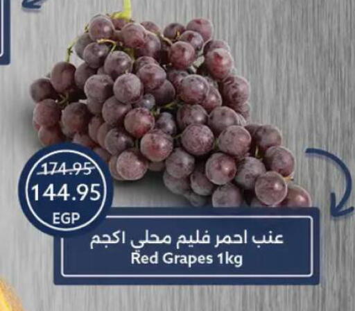 Grapes available at  أوسكار جراند ستورز  in Egypt - القاهرة