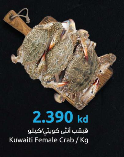 available at The Sultan Center in Kuwait - Kuwait City