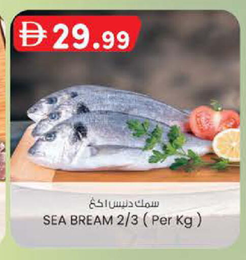 available at ك. الم. للتجارة in الإمارات العربية المتحدة , الامارات - أبو ظبي