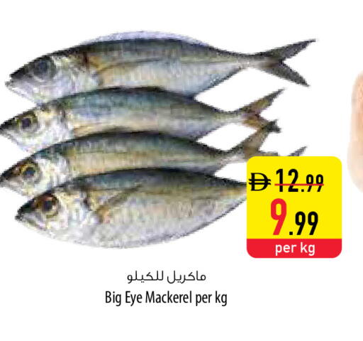 available at السفير ماركت in الإمارات العربية المتحدة , الامارات - رَأْس ٱلْخَيْمَة