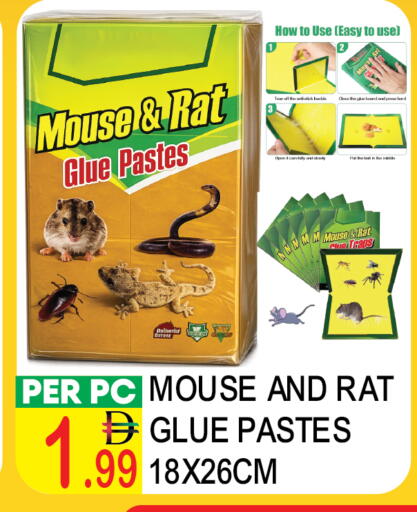 available at دريم لاند in الإمارات العربية المتحدة , الامارات - دبي