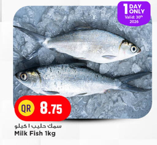available at مرزا هايبرماركت in قطر - الخور