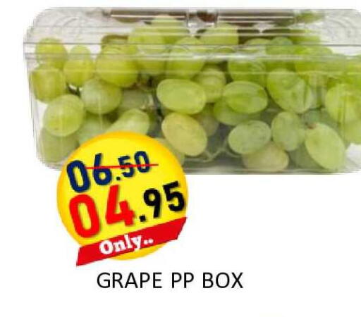 available at رويال جلف هايبرماركت in الإمارات العربية المتحدة , الامارات - أبو ظبي
