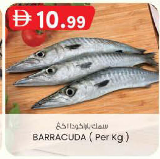 available at صفا هايبر in الإمارات العربية المتحدة , الامارات - ٱلْعَيْن‎