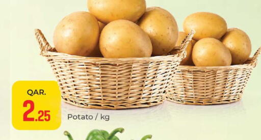 Potato available at باريس هايبرماركت in قطر - أم صلال