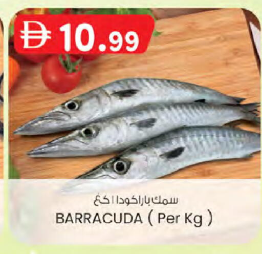 available at ك. الم. للتجارة in الإمارات العربية المتحدة , الامارات - الشارقة / عجمان