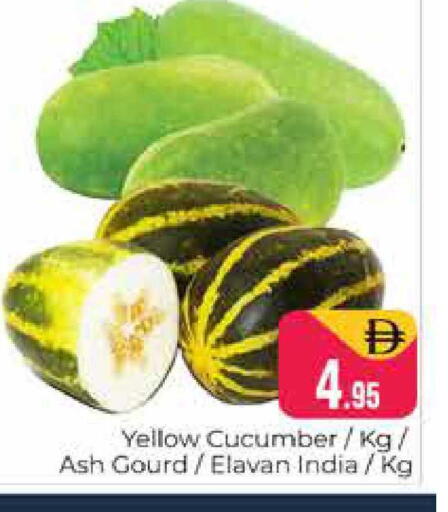 Cucumber from India available at هايبر ماركت باسونز in الإمارات العربية المتحدة , الامارات - دبي